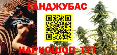 шишки Заводоуковск