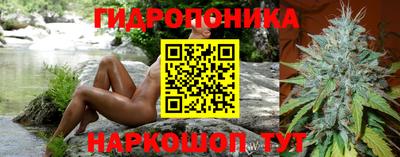 шишки Заволжье