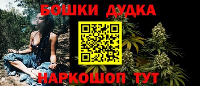 шишки Заволжье