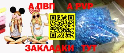 шишки Заводоуковск