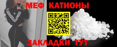 шишки Заволжье