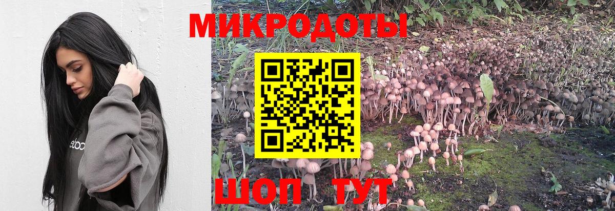 Псилоцибиновые грибы Psilocybine cubensis  Вход с VPN  Галлюциногенные грибы Psilocybe  Луга 