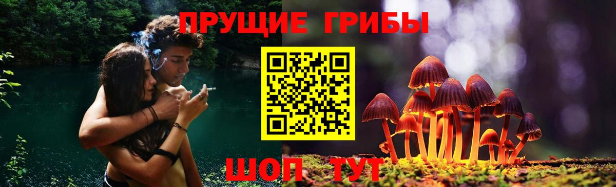 Галлюциногенные грибы GOLDEN TEACHER Луга